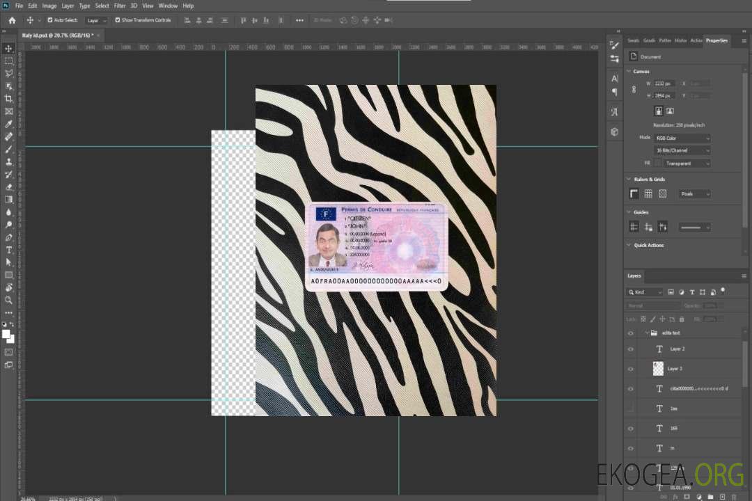 France DL photolook DEVANT template France DL photolook DEVANT template